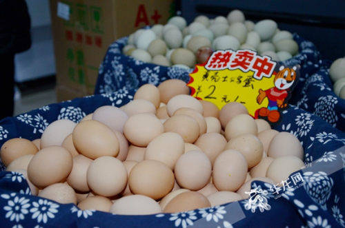 江北華新街鄉(xiāng)村振興創(chuàng)新創(chuàng)業(yè)園啟航，初級農(nóng)產(chǎn)品升級迎來新機遇